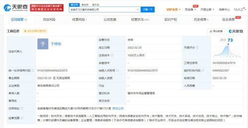 信息技術(shù)咨詢服務 企業(yè)數(shù)字化轉(zhuǎn)型的智慧引擎